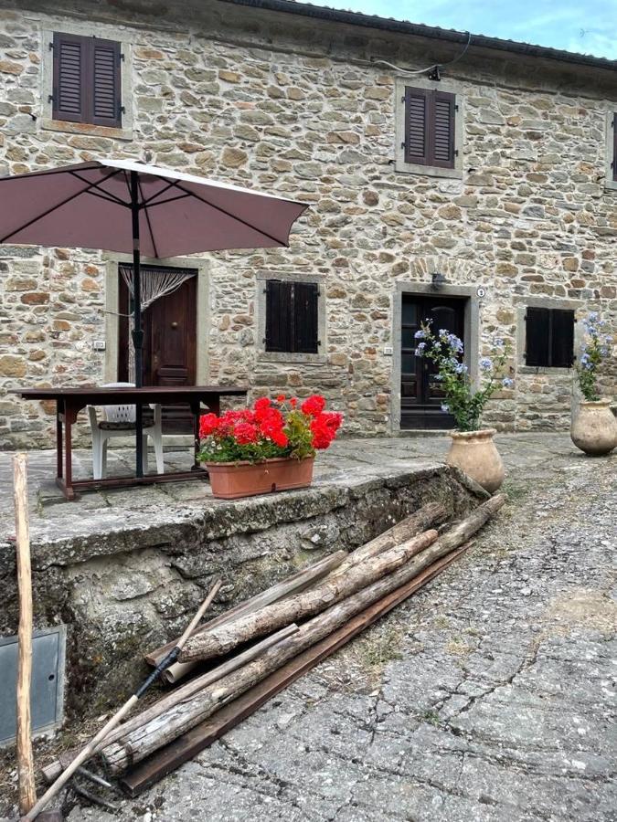 The Dormouse - Il Ghiro Villa Rensa Luaran gambar