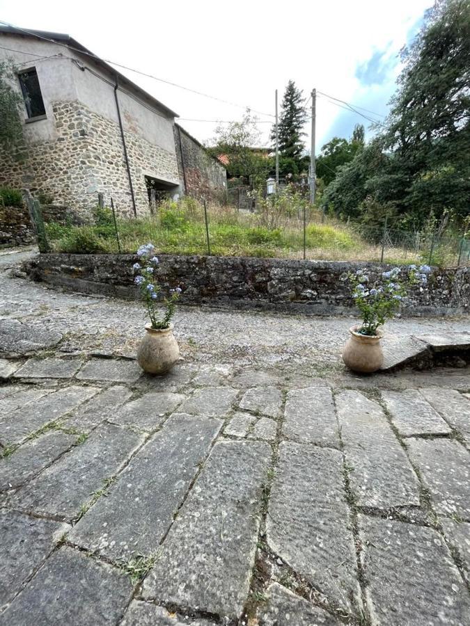 The Dormouse - Il Ghiro Villa Rensa Luaran gambar